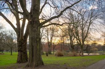 Private Apartment Heinrich-kümmel-straße