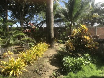 Posada Canoaoasis Private, Exclusive Estate, 1 Acre Tropical Paradise, Directly On Private Beach Area