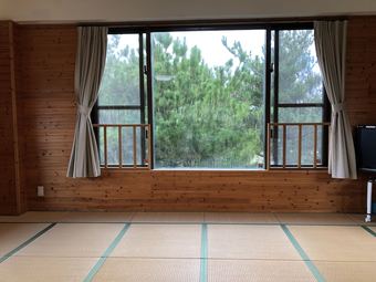 Apartamentos Tingamui