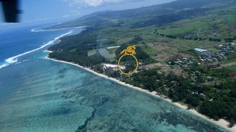 Hotel The Golden Frog