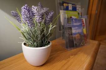 Dromore Court - Luxury Apartment