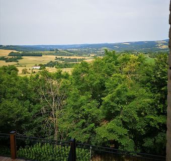 La Maison De La Rose