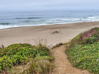 Surfer's Beach Retreat