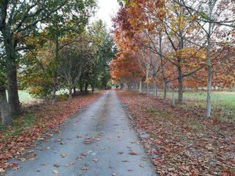 Agroturismo Quinta Grande Da Raposeira