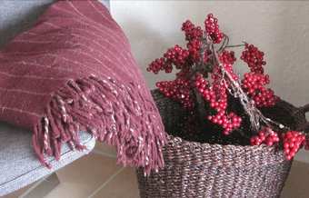 Apartamento Ferienhaus Moselsch�n