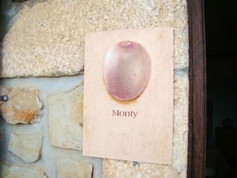 Studio In Armamar, With Pool Access, Furnished Terrace And Wifi