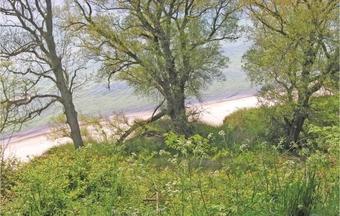 Stangegaard Aakirkeby XII