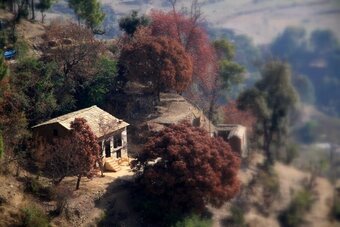 Hotel Daankudi Heritage House