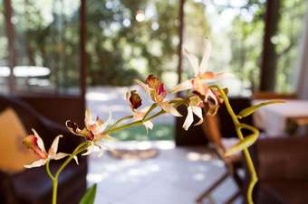 Le Cabanon de Maryline