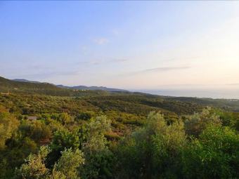 Apartamentos Sea View Studio With Garden 7min To The Beach