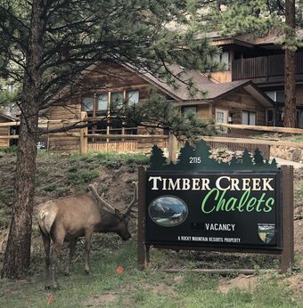 Timber Creek Chalets: 10a