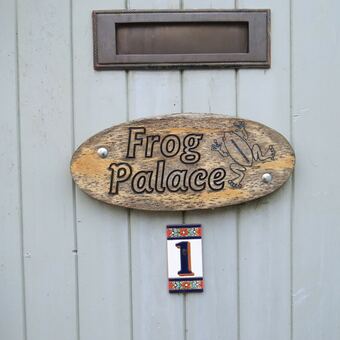 Frog Palace