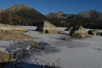 Apartm�n ?trbsk� Pleso - Crocus 219