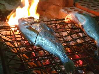 El Gammal Boutique Camp