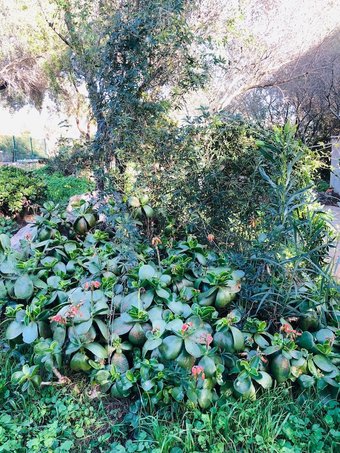 Apartamento Fantastico San Teodoro Fraili Luc01