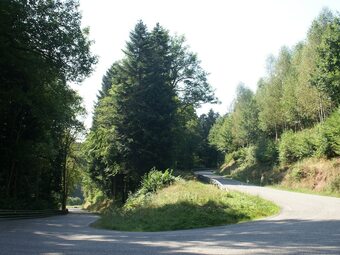 Modern And Luxurious Design Home At The Edge Of A Forest And A Stream