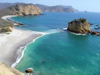 Posada Hostal Humpback Internacional