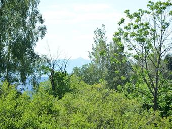 Authentic Log Cabin With Fireplace. Only 300m To The Ski Slope, Unobstructed View!