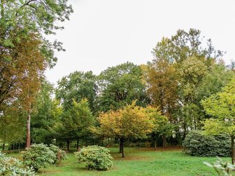 Holiday Home In Eschede With Terrace, Garden, Barbecue, Pond