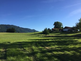 Modern Apartment In Lindegg With Balcony
