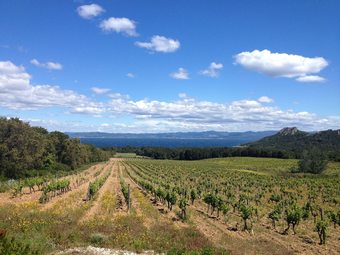 Villa Lovely Holiday Home With Private Swimming Pool, Air Conditioning, Enclosed Garden And Guest House