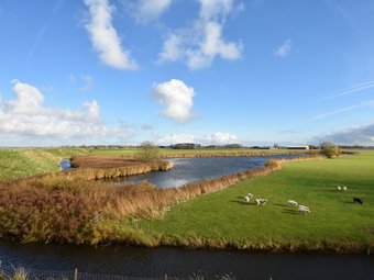 Mod Apartment In Burgerbrug Netherlands With Private Terrace