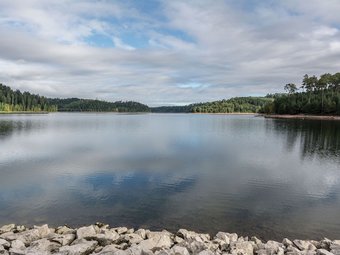 Modern Wooden Chalet Situated In The Middle Of The Wood