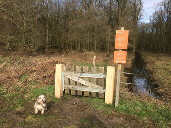 Pitoresk Cottage On Park Hunzebergen With Lots Of Space And Privacy