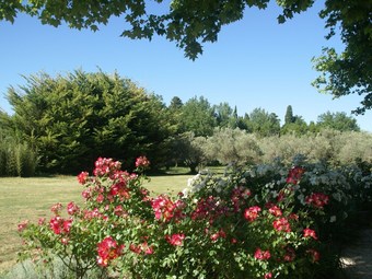 Beautiful Villa In Paradou With Swimming Pool