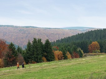 Charming Apartment In Frauenwald Near The Forest