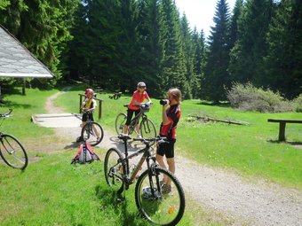 Beautiful Apartment In Frauenwald At The Rennsteig In A Very Quiet Location