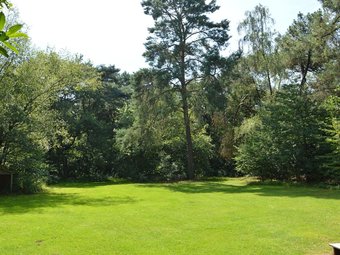 Cozy Bungalow In Uden With Sauna