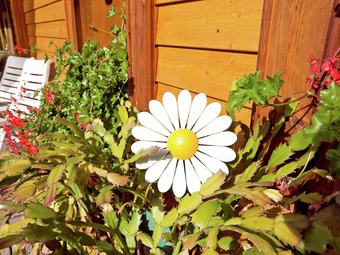 Holiday In The Black Forest, In A Holiday Apartment With Tasteful Furnishings