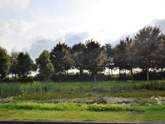 Cozy Holiday Home In Musselkanaal With Hot Tub