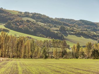 Detached Holiday Home With Swimming Pool In A Gorgeous Nature Reserve