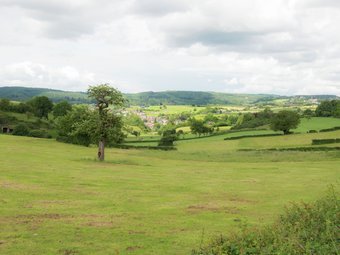 Cozy Holiday Home In Polleur With Jacuzzi