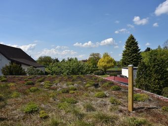 Holiday Apartment In The Northern Nature Park Kellerwald-edersee With Separate Entrance