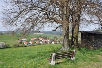 Ferienhotel Zur Traube