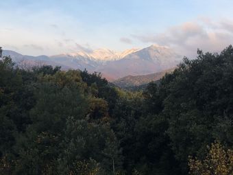 Hotel Villa Bonheur Vallespir - Maison D'hotes