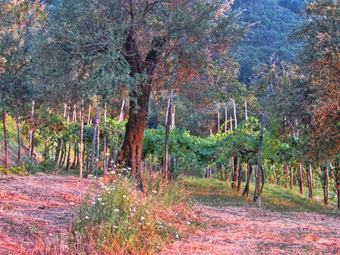 Apartamento Studio In Gragnano, With Wifi - 4 Km From The Beach