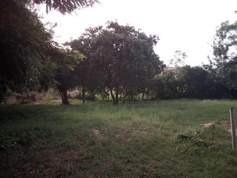 Hotel Green Guest House