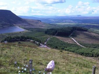 Posada The Hendrewen Hotel