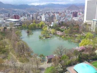 Ver fotos