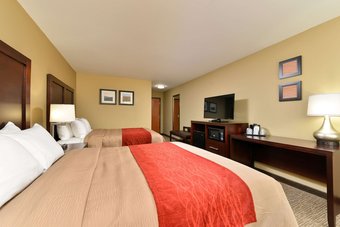 Hotel Comfort Inn & Suites Manheim - Lebanon