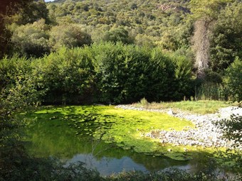 Bed & Breakfast La Casa Delle Fate