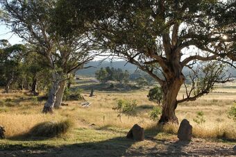 Ecocrackenback 4 'sustainable Chalet Close To The Slopes
