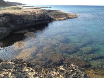 Apartamento Narkissos 1