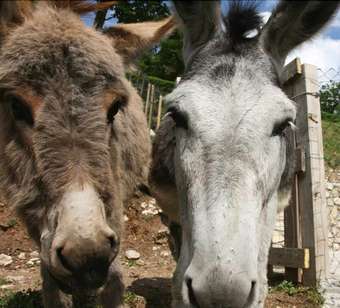 Apartamento Residence Garden