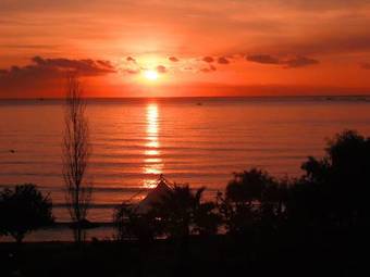 Posada Andreas & Melanie Beach Hotel