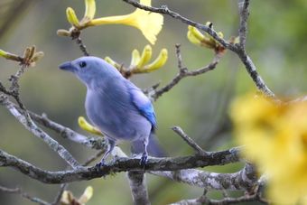 Hotel Monique's Guesthouse